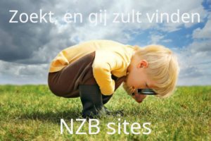 nzb sites
